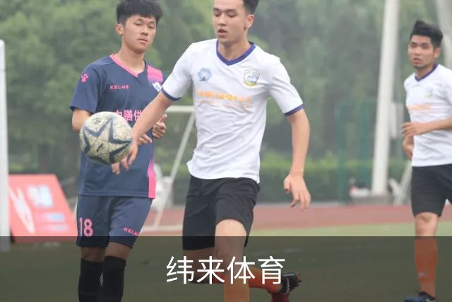 纬来体育公司简介